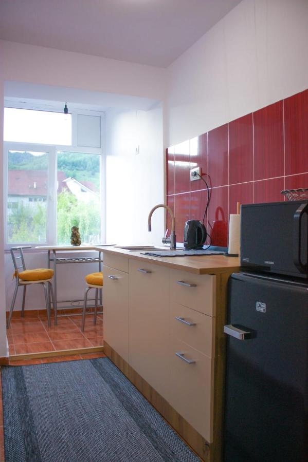 Petrila Vlad'S Downtown Apartment المظهر الخارجي الصورة